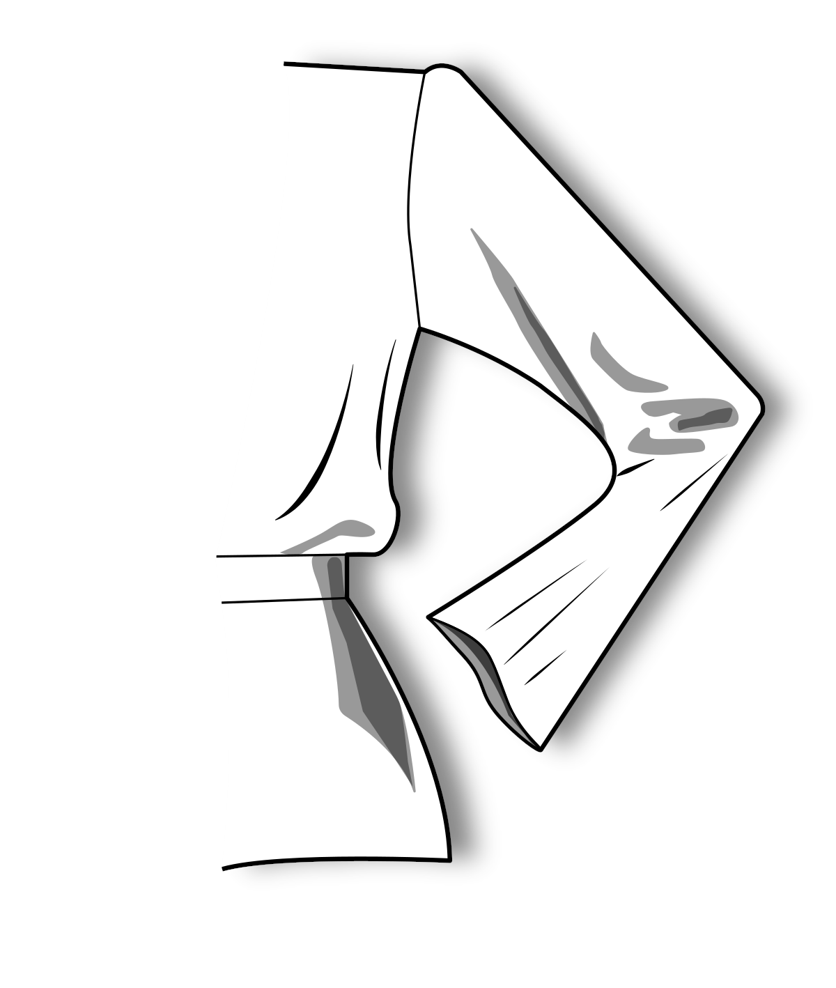 Набор рукавов к базовой основе платья полуприлигающего силуэта по методике «М. Мюллер и сын» (русский язык)